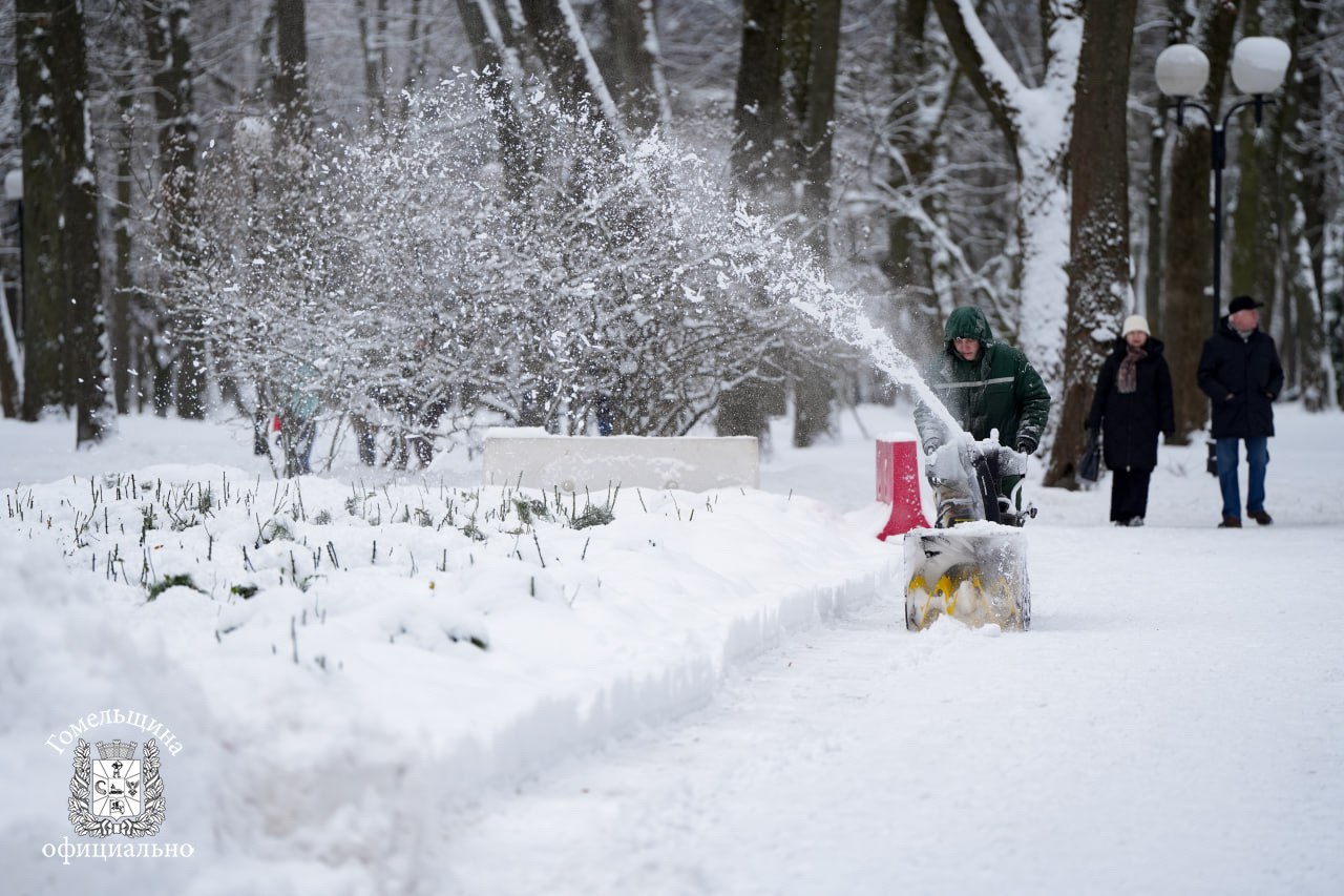 Беларусь завалило снегом. Где уже выпало до 17 см и что творится в Европе?
