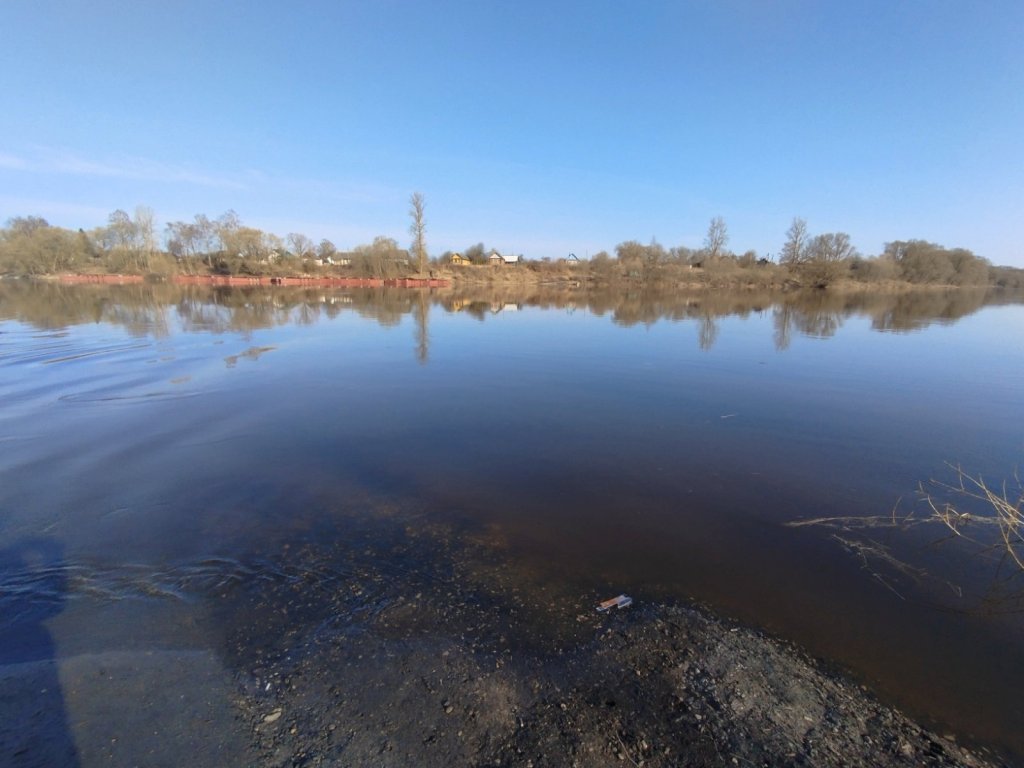Дзьвіна ў Бешанковічах падчас вясновай паводкі (фота)