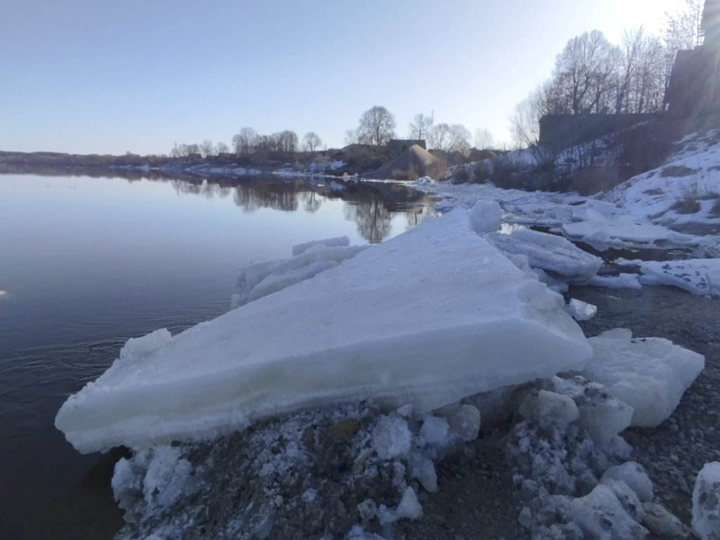 Дзьвіна ў Бешанковічах пайшла! (Фота)