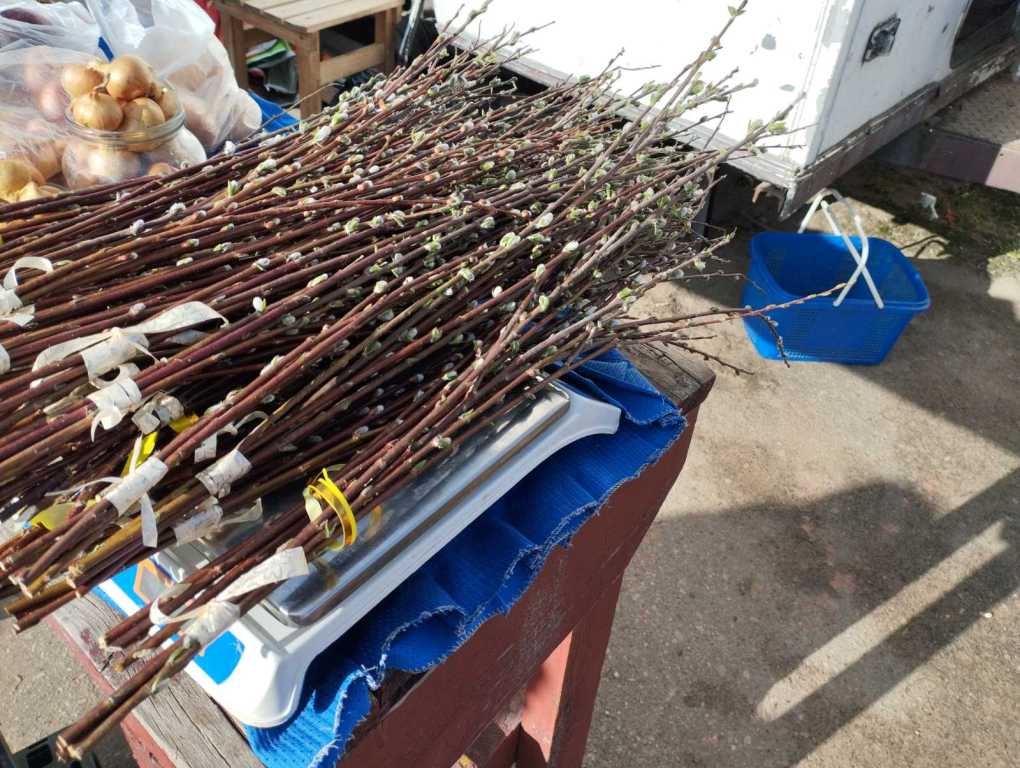 Навіны Бешанковіцкага рынку 5-га красавіка 2026 года