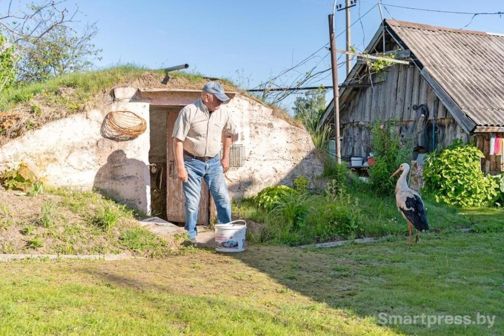 Как деревенский аист “заставляет” местного жителя ходить на рыбалку