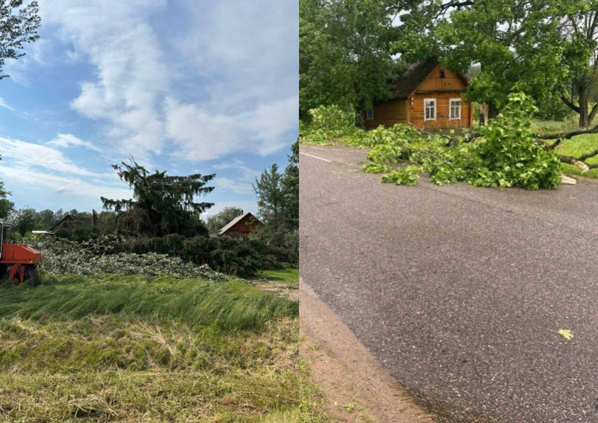 Сегодня на Гродненщине деревья ломали крыши